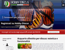 Tablet Screenshot of hobbydiscus.com